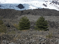 anobello-04032012 170